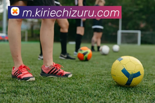 友博体育APP 封面图